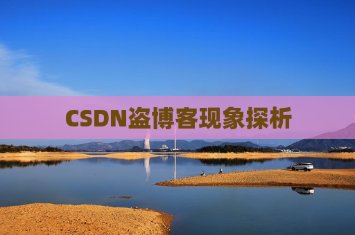 CSDN盗博客现象探析